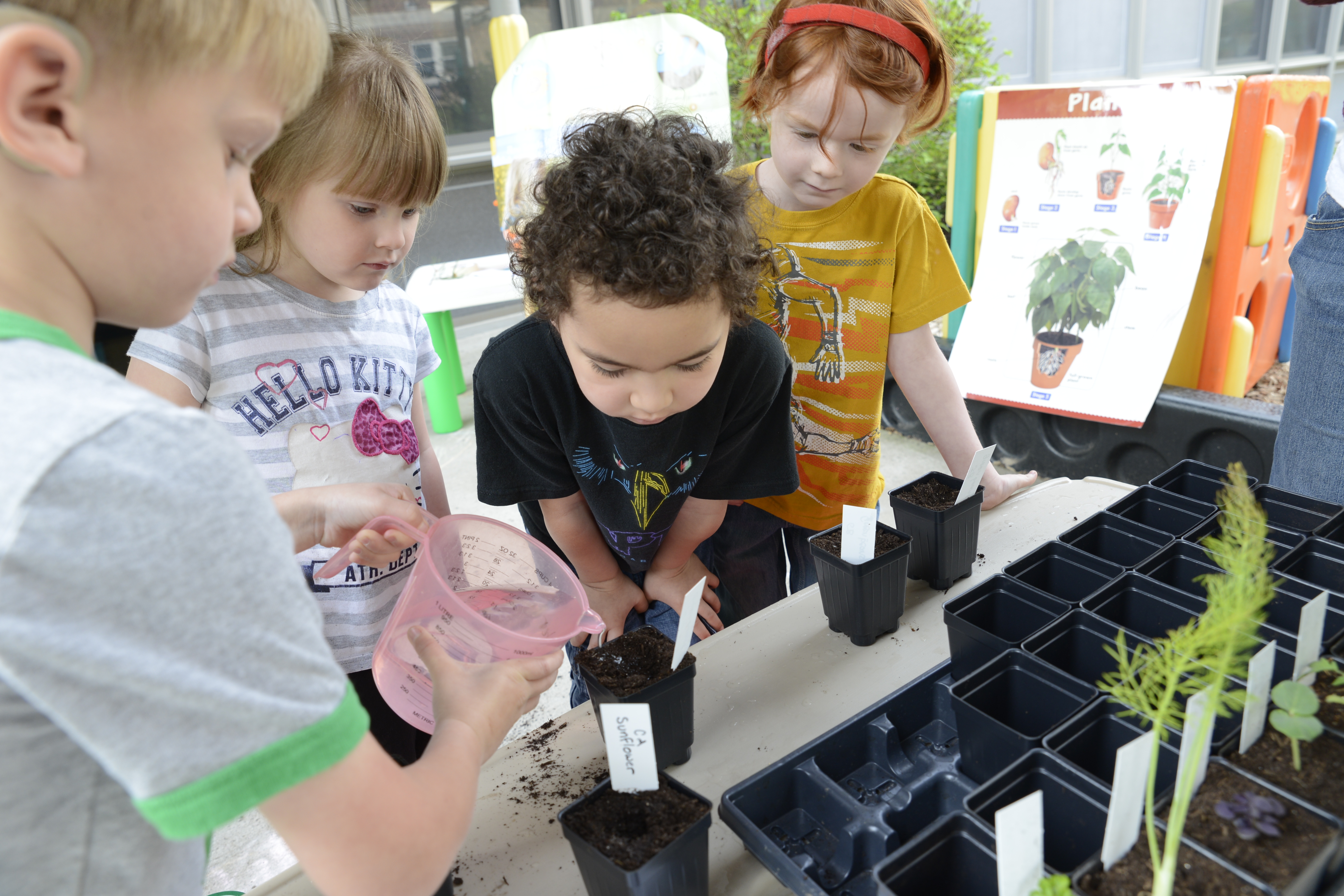 Four young children watering plants.